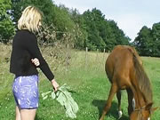 Gli agricoltori fanno sesso fuori